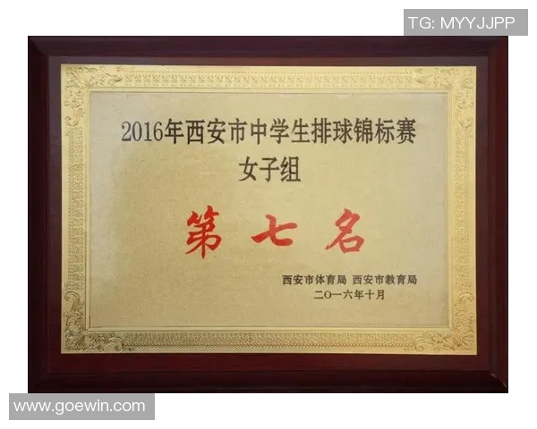 深圳排球队实力强劲荣登排球实力排行榜第七名